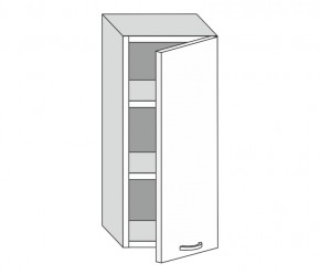 19.40.1 Шкаф настенный (h=913) на 400мм с 1-ой дверцей в Кушве - kushva.магазин96.com | фото