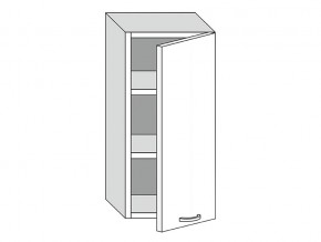 19.45.1 Шкаф настенный (h=913) на 450мм с 1-ой дверцей в Кушве - kushva.магазин96.com | фото