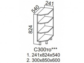 С300то Стол-рабочий 300 (торцевой открытый) в Кушве - kushva.магазин96.com | фото