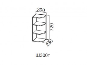 Ш300т/720 Шкаф навесной 300/720 (торцевой) в Кушве - kushva.магазин96.com | фото