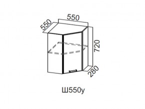 Ш550у/720 Шкаф навесной 550/720 (угловой) в Кушве - kushva.магазин96.com | фото