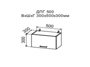 Шкаф верхний ДПГ500 горизонтальный в Кушве - kushva.магазин96.com | фото