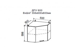Шкаф верхний ДПУ600 угловой в Кушве - kushva.магазин96.com | фото